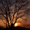 夕焼け