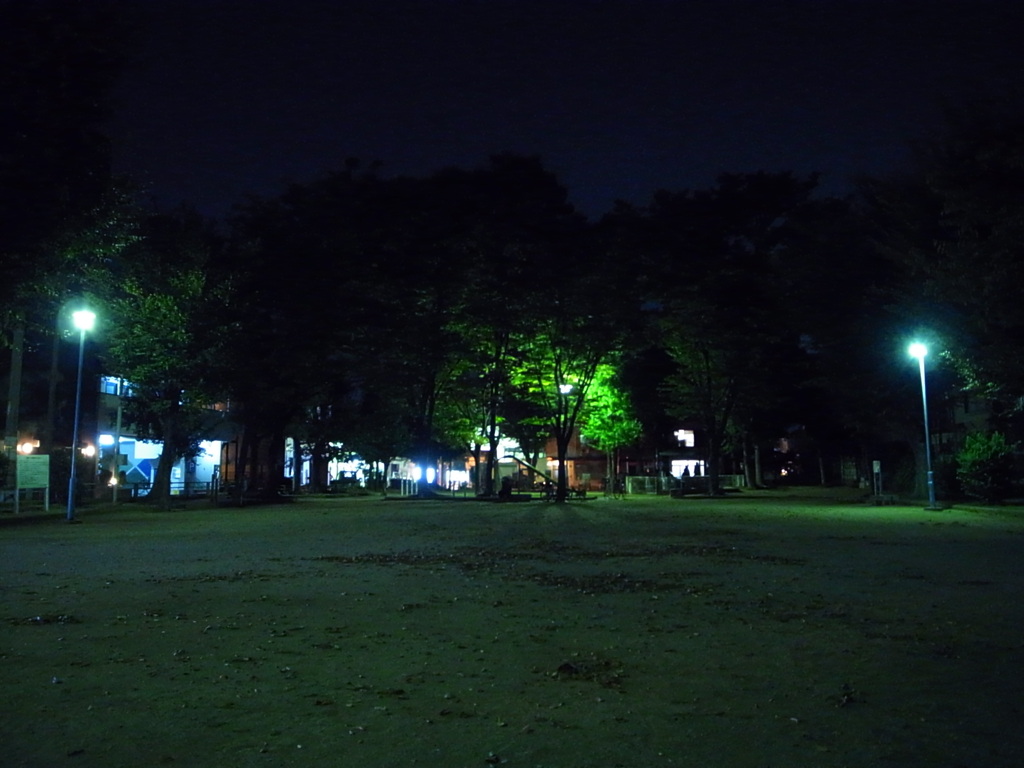 夜の公園