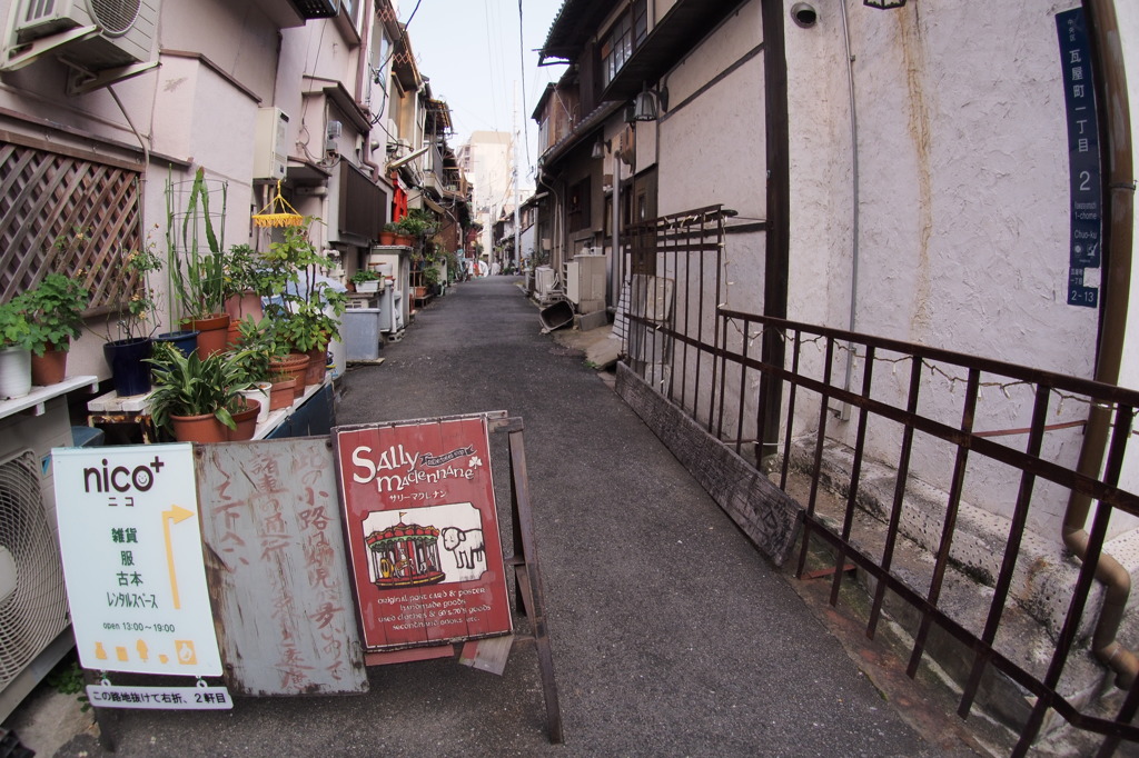 tani6