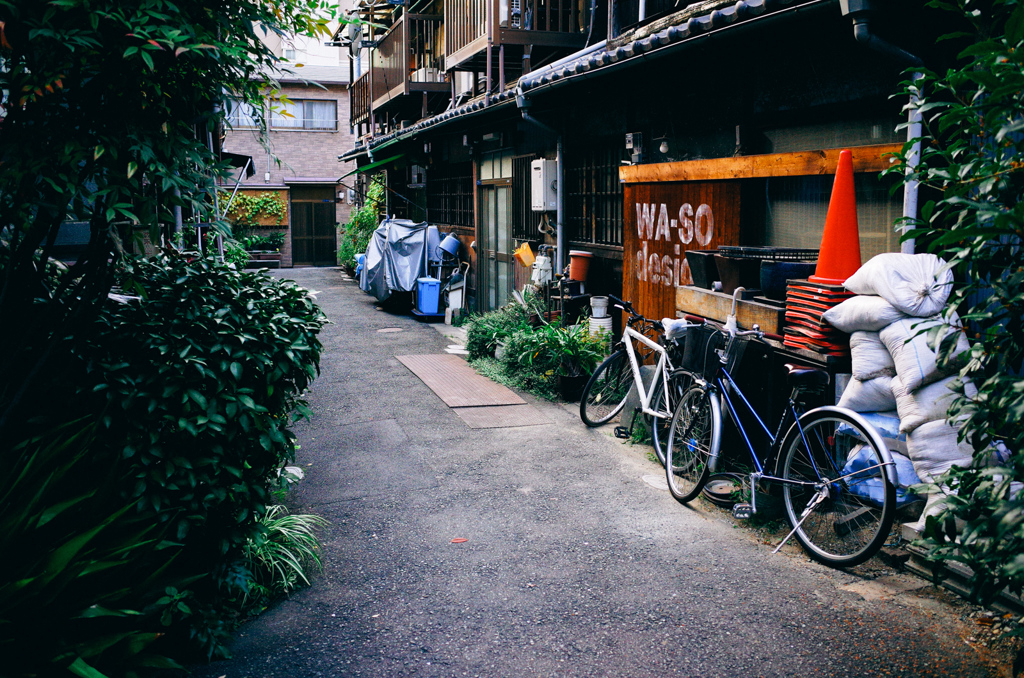 tani6