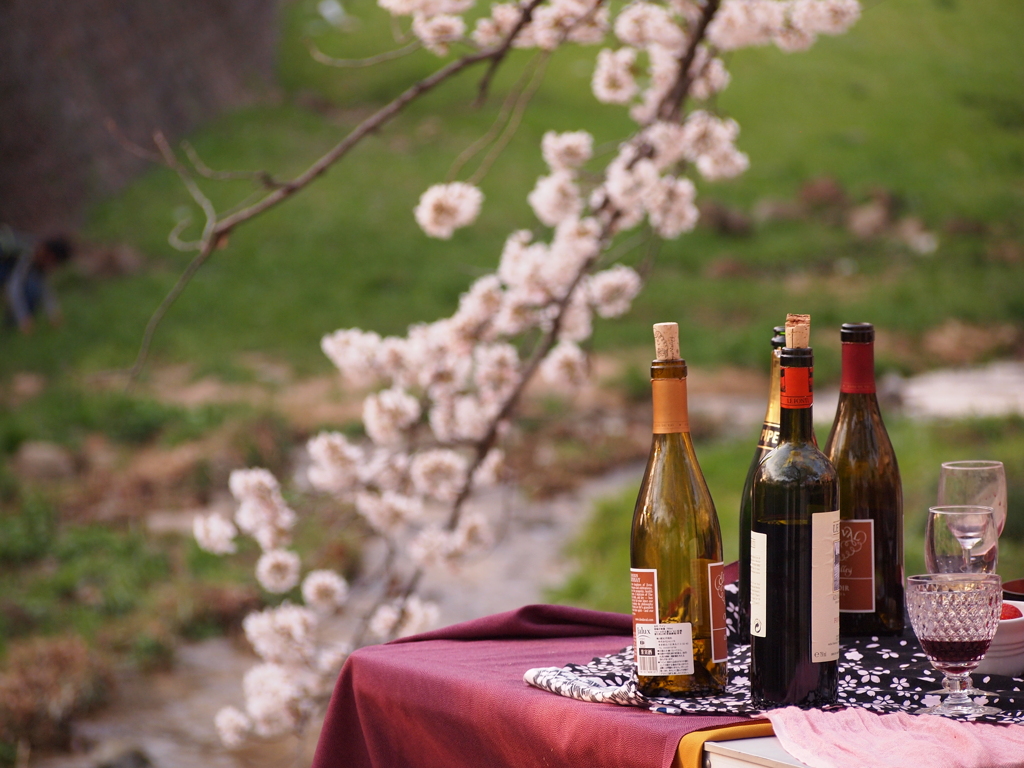Cherry ＆ wine