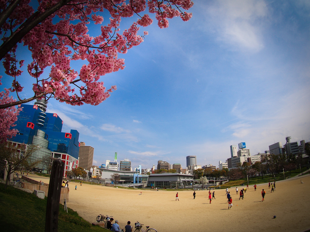 春色の公園