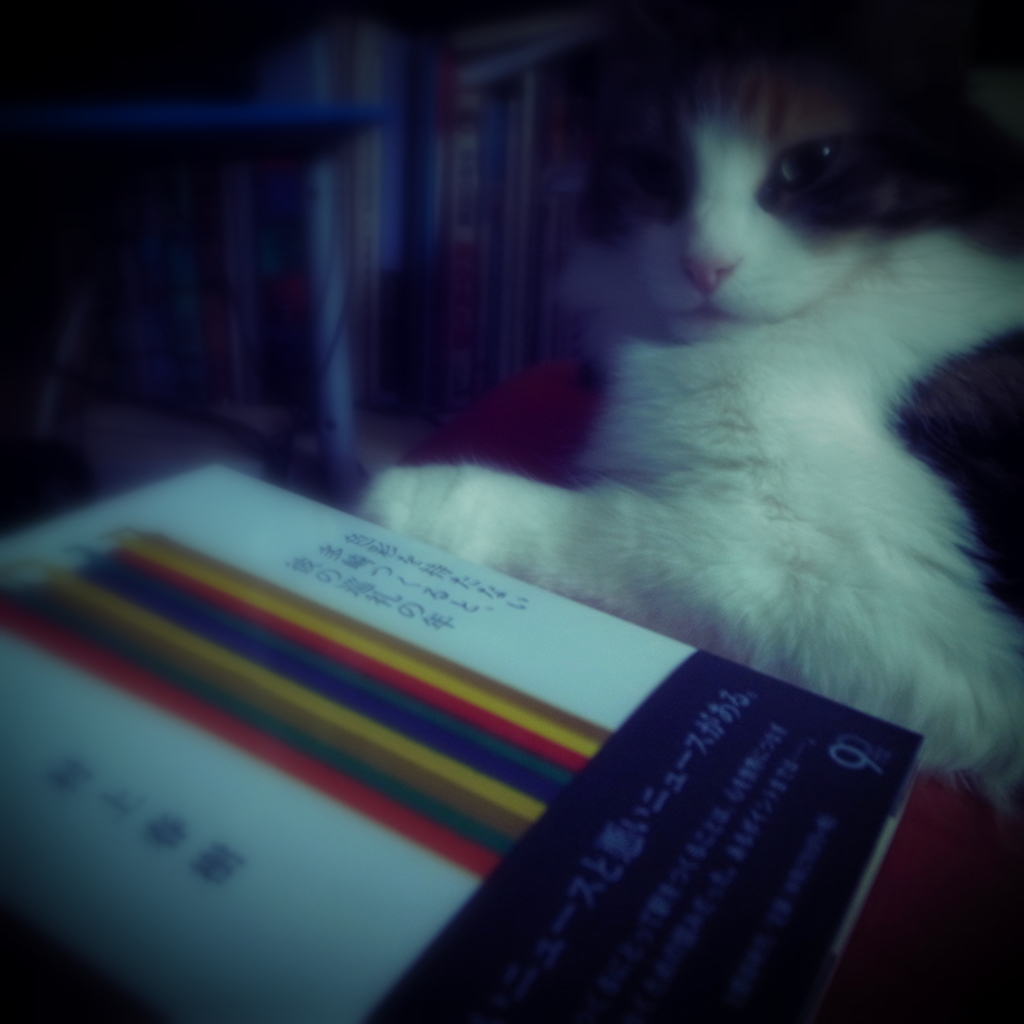 cat & book