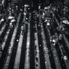 雨
