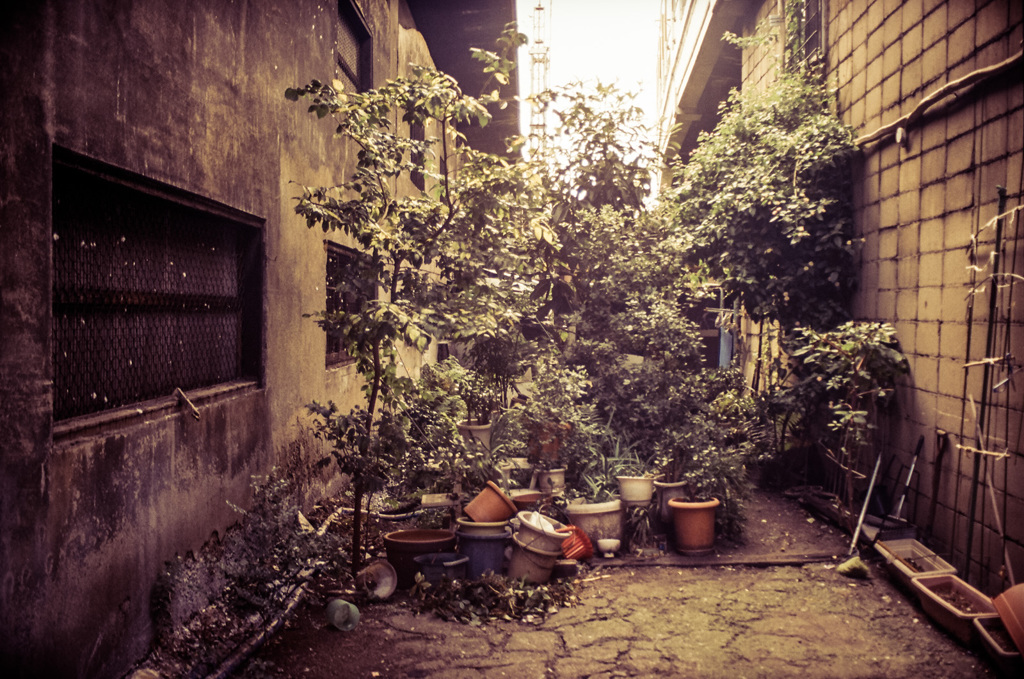 袋小路