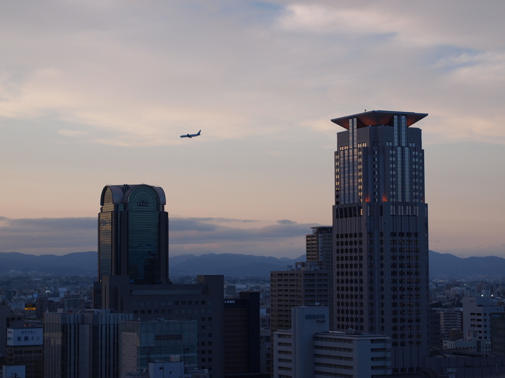 飛行機