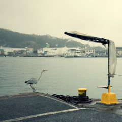 onomichi（各々の道）