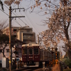 桜と阪急電車