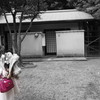初孫