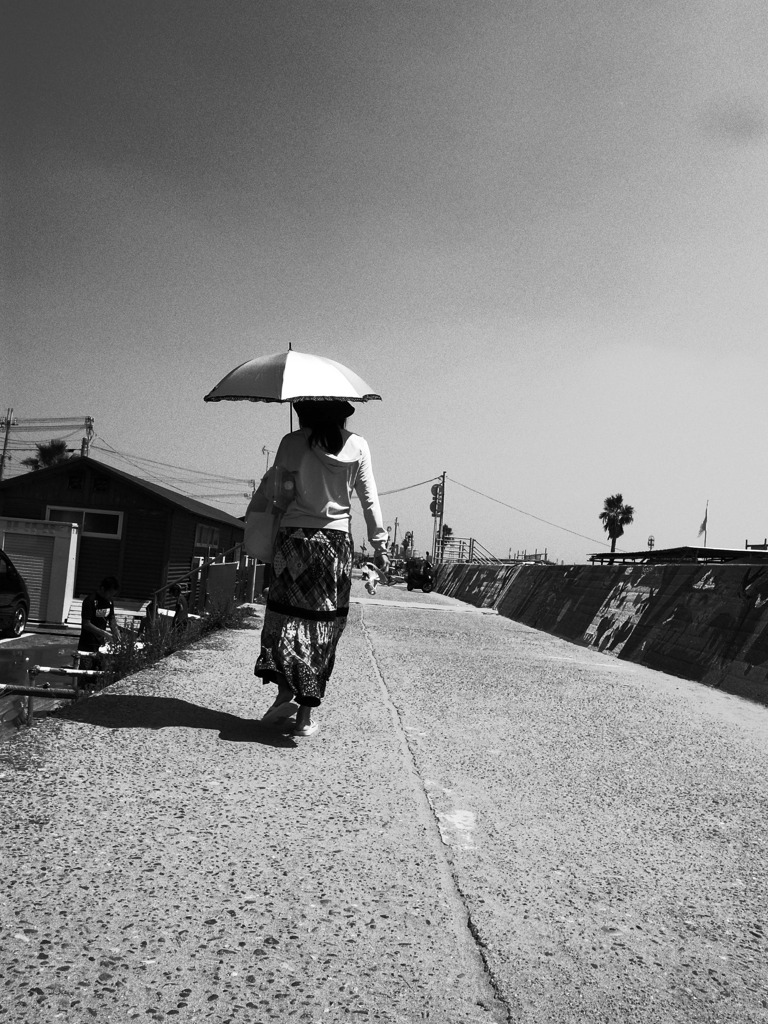 夏の風景８