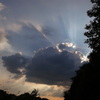 雲
