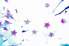 夢か現か