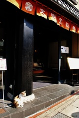ぬこ店長