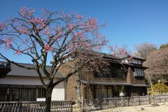 肥後細川庭園