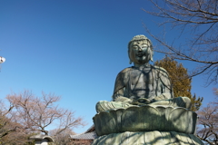 護国寺