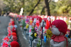 芝の増上寺