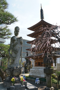 三田のお寺