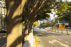 城市馬路