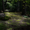 苔風景（法多山）