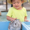 いい子いい子