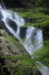 愛知県百間の滝2