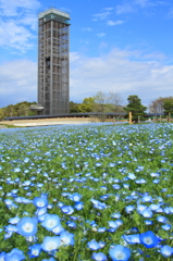 青の景色