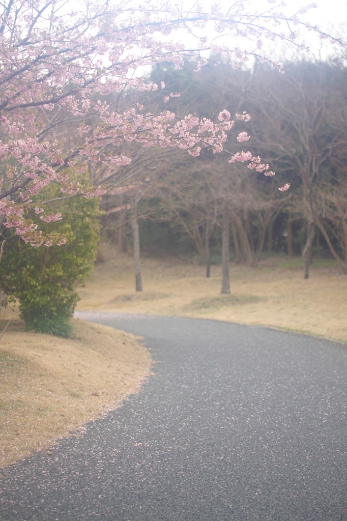 ３月の小路