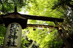 京都野々宮神社