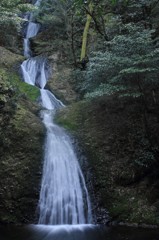 愛知県阿寺の七滝