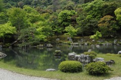 京都天竜寺庭園