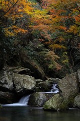 都田川の紅葉