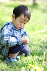 お花摘み