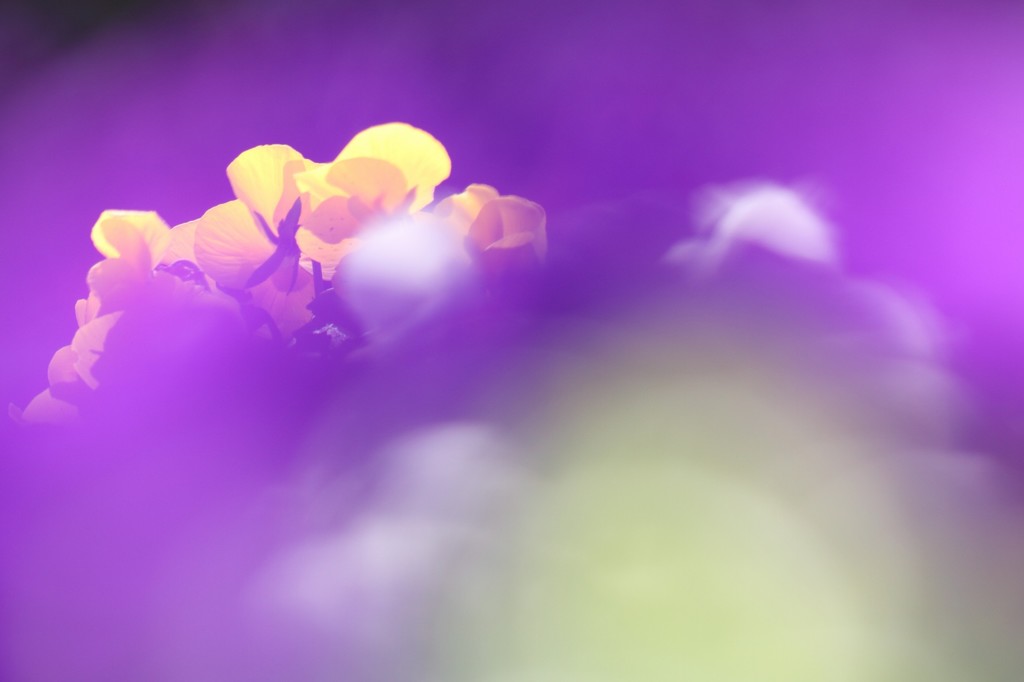 color