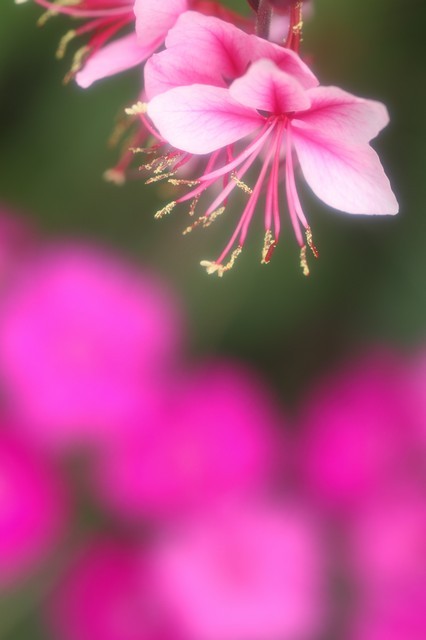 脈々と