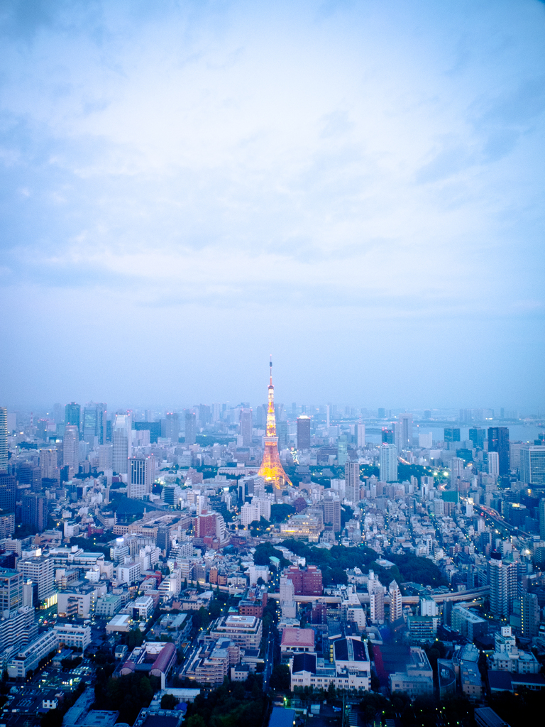 Tokyotower #3