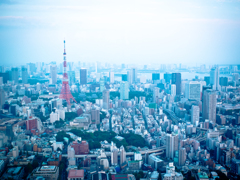 Tokyotower  #2