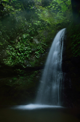 深緑の滝