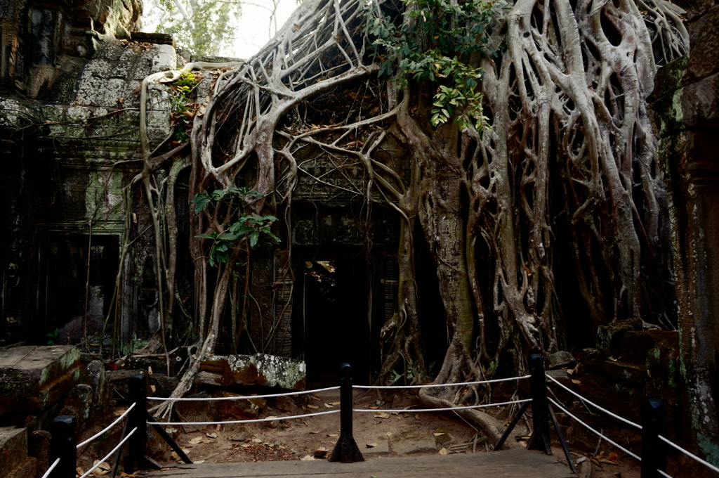 Ta Prohm