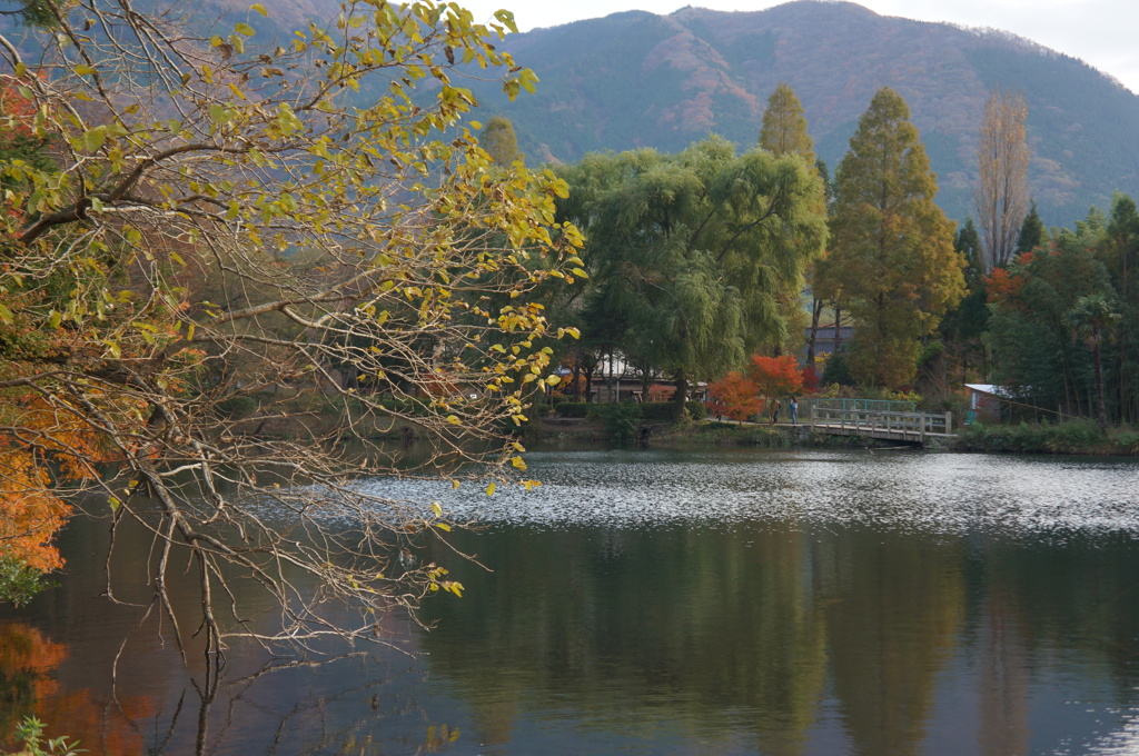 湯布院　金鱗湖