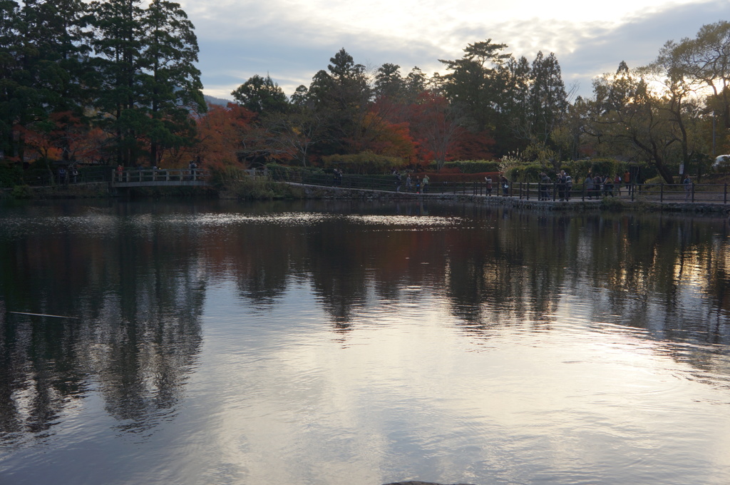 湯布院　金鱗湖