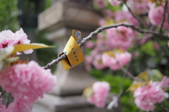 某寺