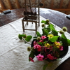 野の花