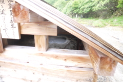 カメラで覗いちゃった