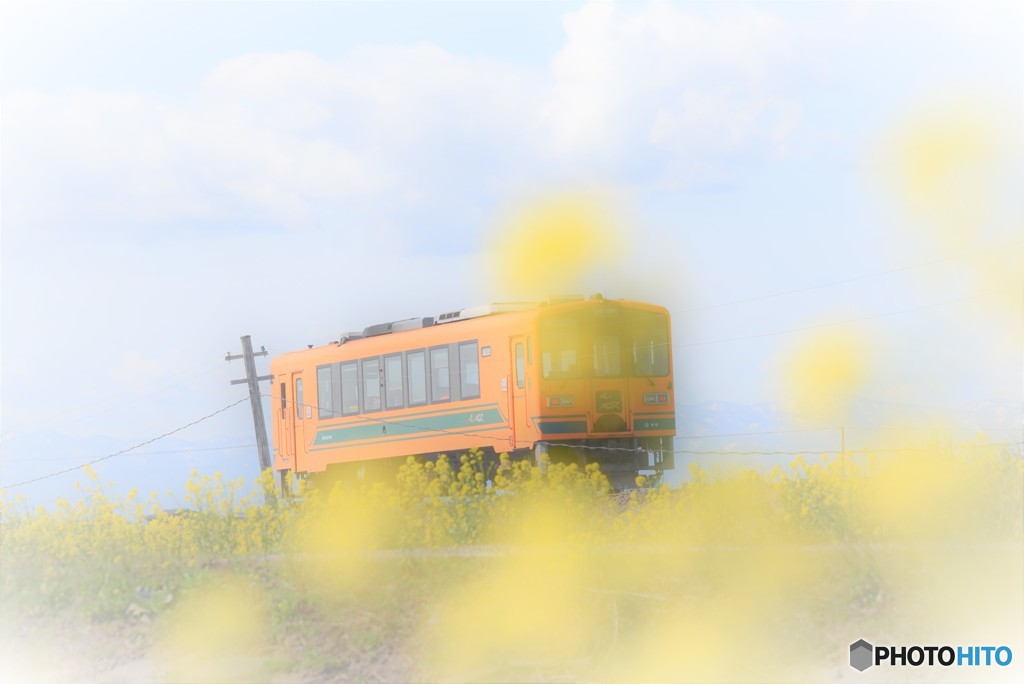 春うらら