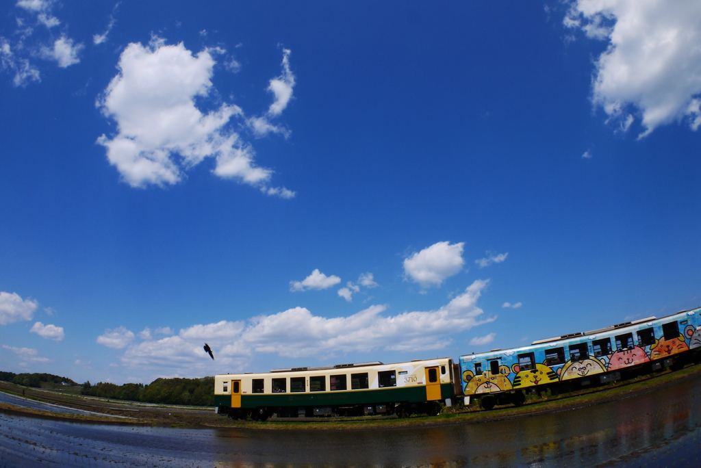 青い空に白い雲