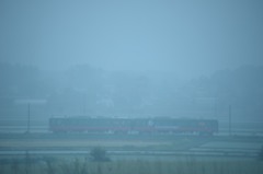 雨に煙る朝