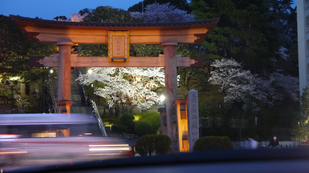 二荒山神社の桜