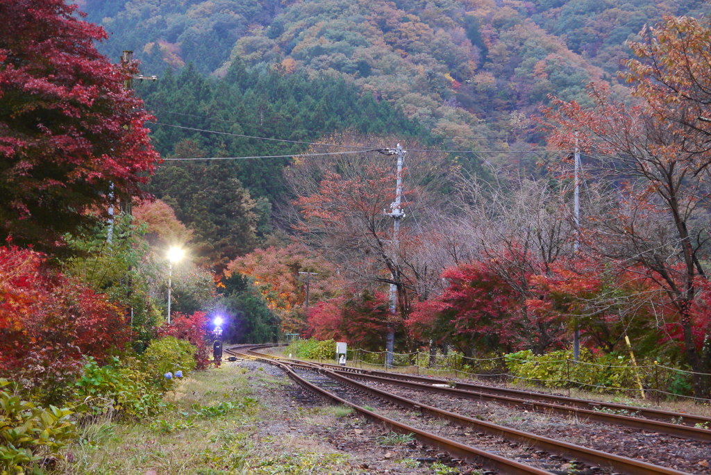 宵の紅葉