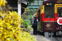 花・華・花