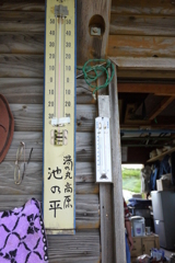 17℃